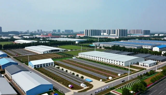 活动策划执行中传播服务的常见问题与应对策略